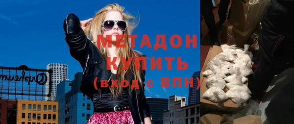 индика Бородино