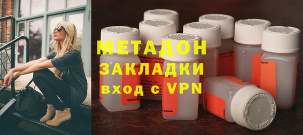 индика Бородино