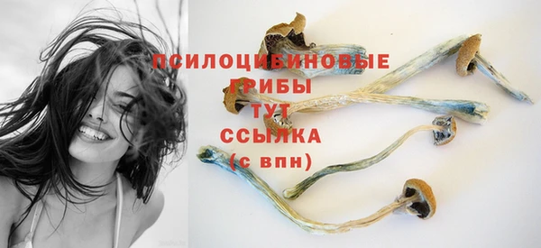 ПСИЛОЦИБИНОВЫЕ ГРИБЫ Бронницы