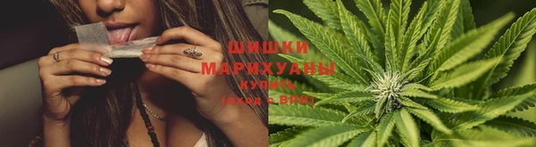 ПСИЛОЦИБИНОВЫЕ ГРИБЫ Бронницы