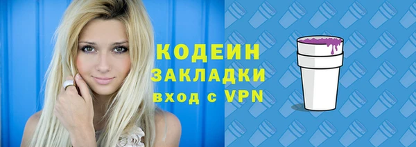 индика Бородино
