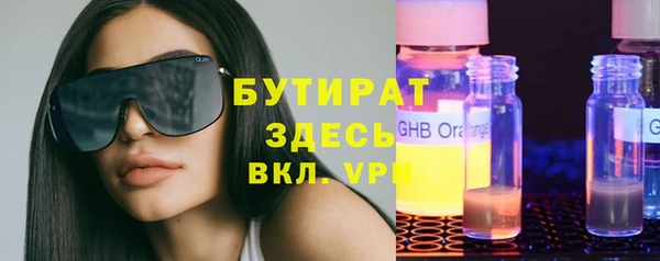индика Бородино