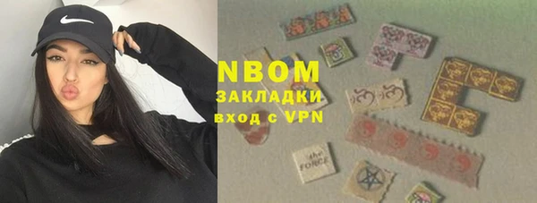 индика Бородино