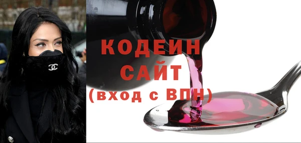 индика Бородино