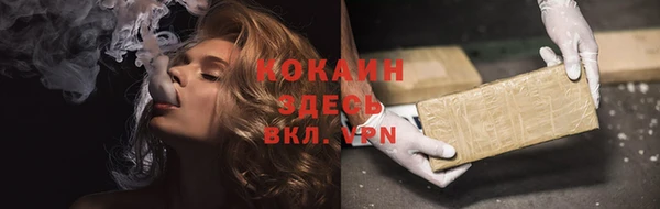 индика Бородино