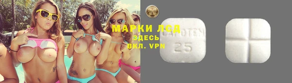 ПСИЛОЦИБИНОВЫЕ ГРИБЫ Бронницы