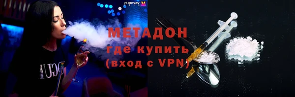 индика Бородино