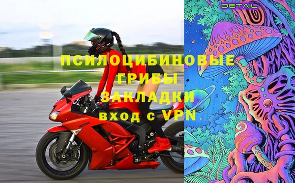 ПСИЛОЦИБИНОВЫЕ ГРИБЫ Бронницы