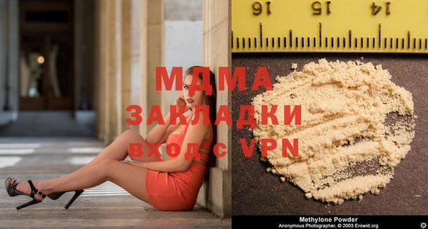индика Бородино