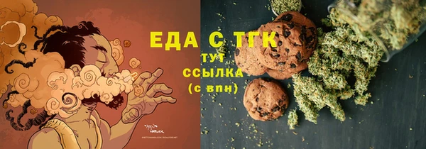 индика Бородино
