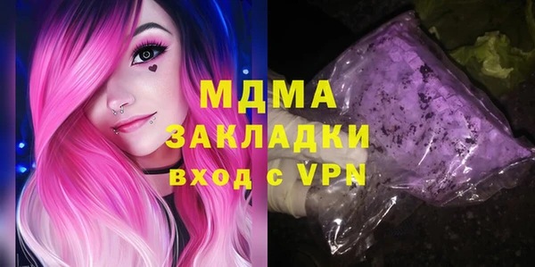 индика Бородино