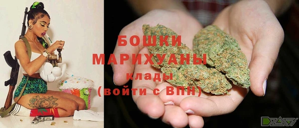 индика Бородино