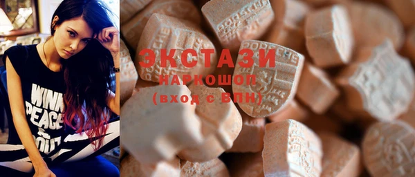 индика Бородино