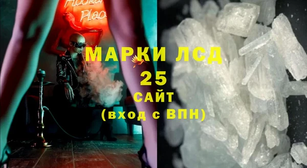 индика Бородино